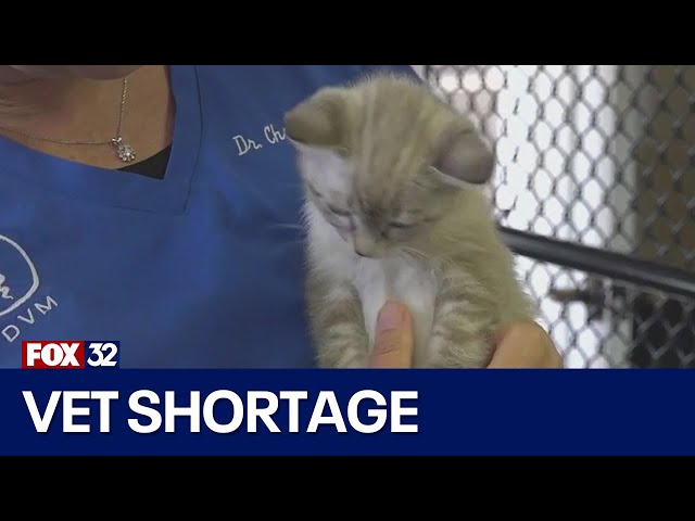 ⁣Nationwide veterinarian shortage worries pet owners