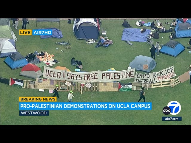 ⁣Pro-Palestinian protesters say they’re “committed to this fight” during UCLA demonstration
