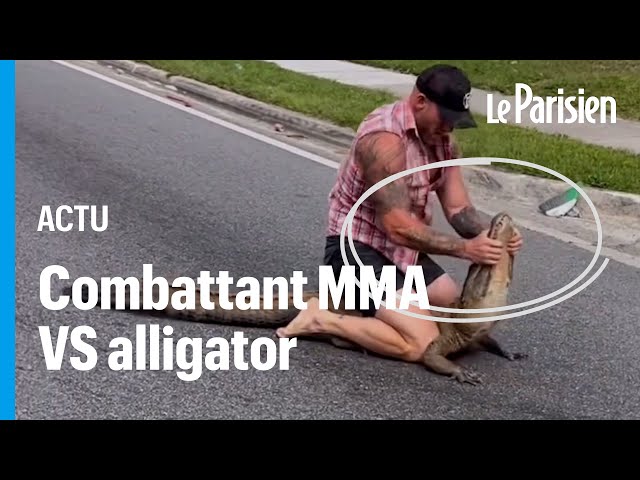 ⁣Floride : un combattant de MMA capture à mains nues un alligator qui errait dans la rue