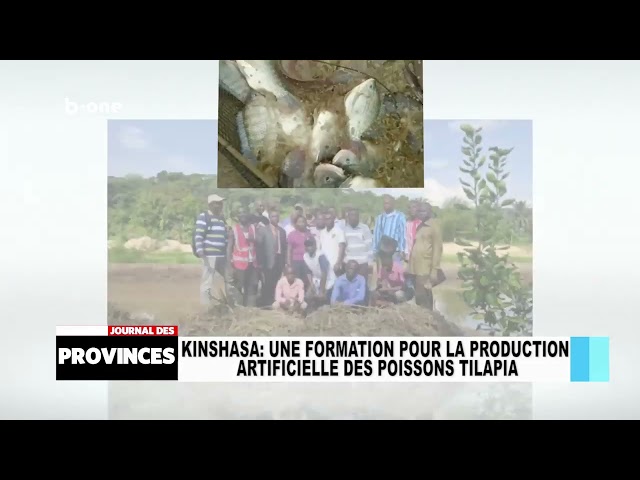 ⁣Kinshasa : Une formation pour la production artificielle des poissons Tilapia