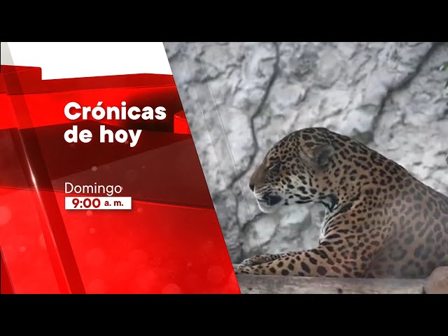 Crónicas de Hoy (28/04/2024) Promo | TVPerú