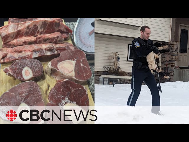⁣In Alberta, the sale of uninspected meat is on the rise