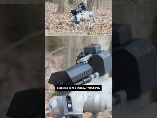 ⁣For less than $10,000, you can buy your own flame-throwing robot dog