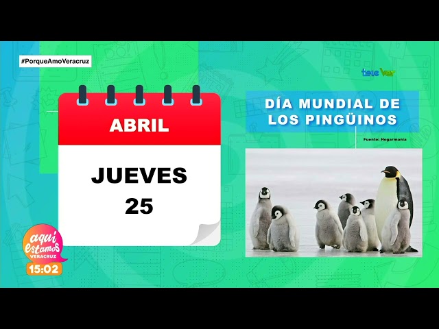 Día mundial de los pingüinos