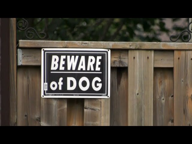 ⁣Toronto cracking down on dangerous dog owners