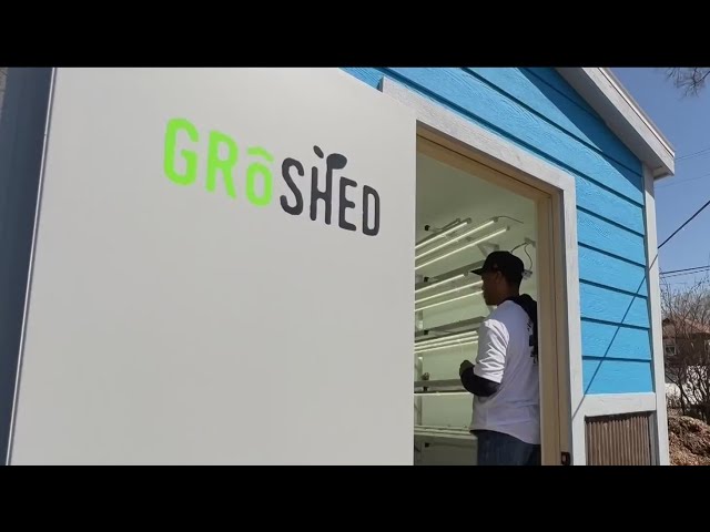 ⁣NFL present shed to Detroit neighborhood for sustainable farming