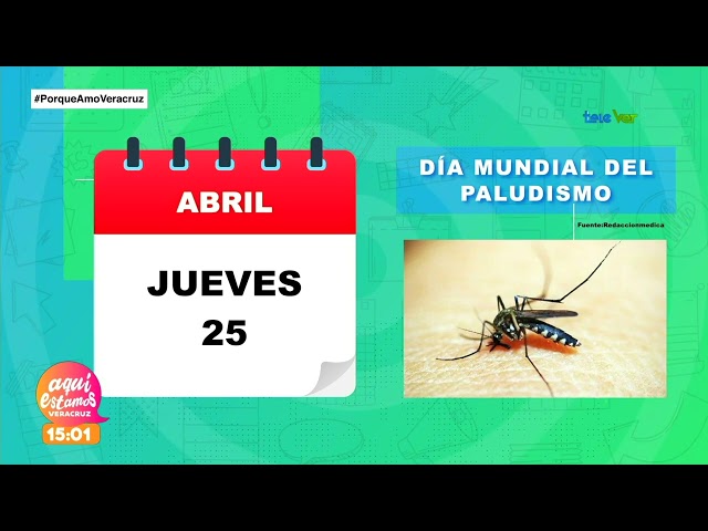Día mundial del paludismo