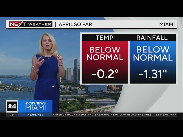 Miami weather for Thursday 4/25/24 11PM