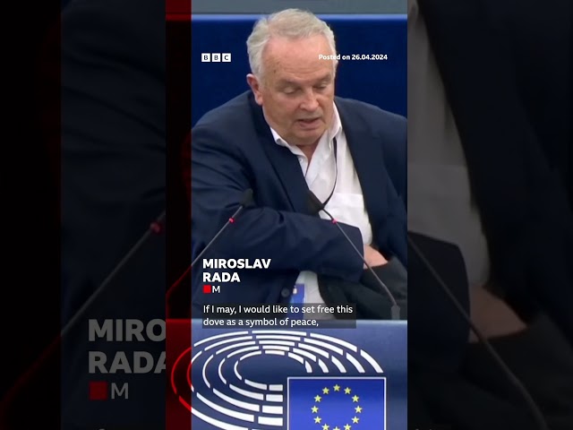 ⁣Dove released in European Parliament chamber by Slovakia member as "symbol of peace". #BBC