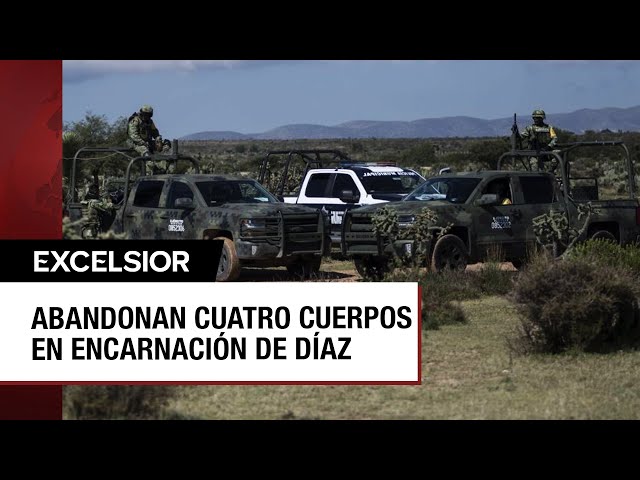 ⁣Jalisco: Hallan cuatro cuerpos en carretera de Encarnación de Díaz