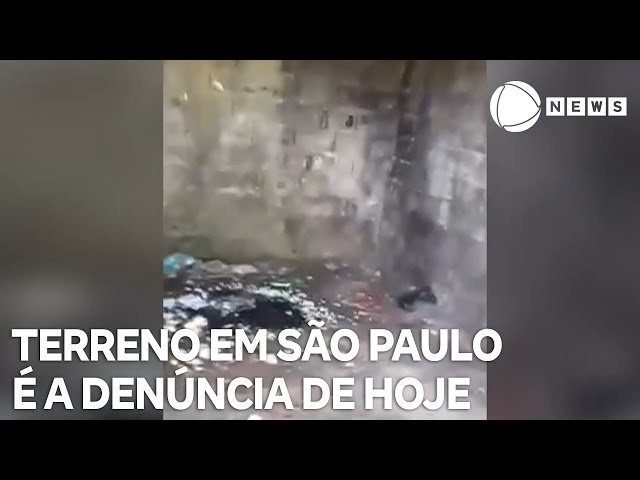 ⁣Record News contra a dengue: terreno em São Paulo é a denúncia de hoje