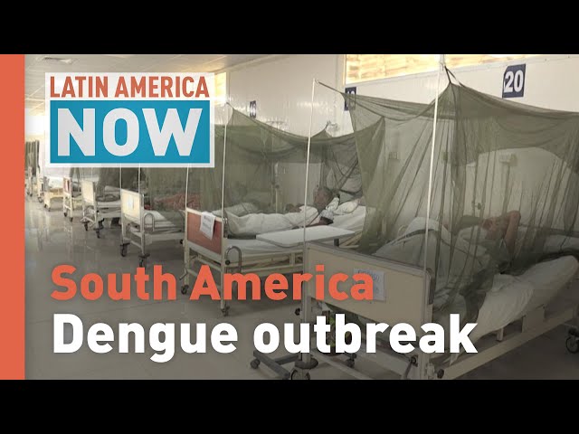 ⁣Latin America Now: Dengue fever in South America