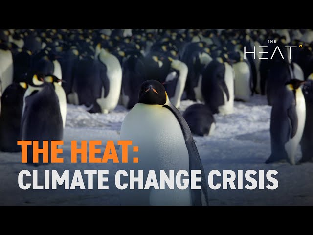 ⁣The Heat: Climate Change Crisis