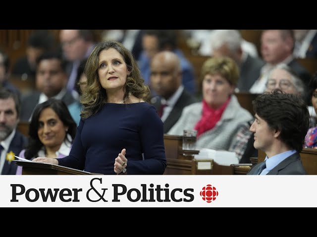 Why are the Liberals struggling to sell their economic plan to Canadians? | Power & Politics