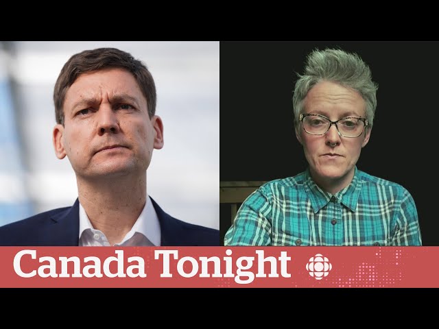 ⁣B.C.'s recriminalization of drug use in public spaces is dangerous: expert | Canada Tonight