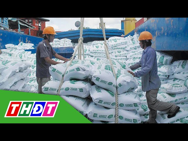 ⁣Xuất khẩu gạo năm 2024 dự kiến vượt kế hoạch | THDT