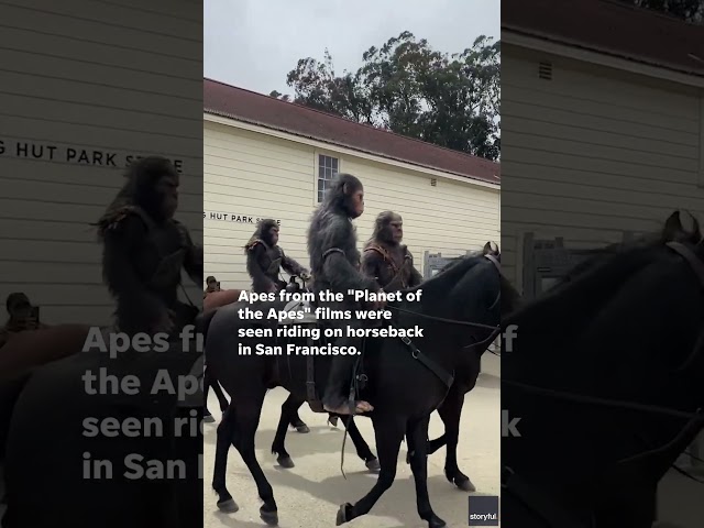 ⁣Apes from 'Planet of the Apes' surprise locals, ride on horseback to promote new movie #Sh