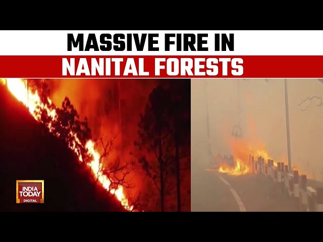 ⁣Massive Fire In Nainital Forests Disrupts Life, Choppers Deployed To Douse Fire