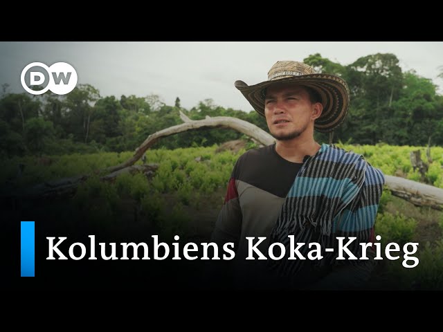 ⁣Land, Macht, Geld – Der brutale Kampf im größten Koka-Anbaugebiet Kolumbiens | DW Reporter