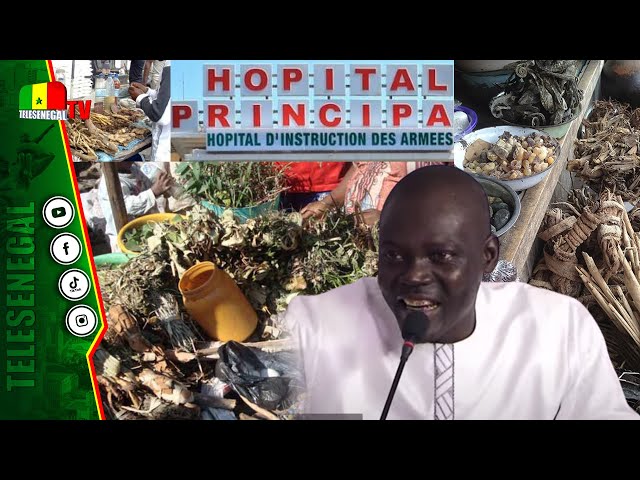 ⁣Assane Ngom, livre un grand secret sur la médecine traditionnelle utilisée par les hôpitaux à Dakar