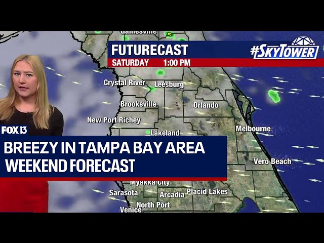 ⁣Tampa weather: Breezy Saturday in Bay Area