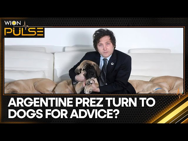 ⁣Does Argentine President Javier Milei communicate with a dead dog? | WION Pulse