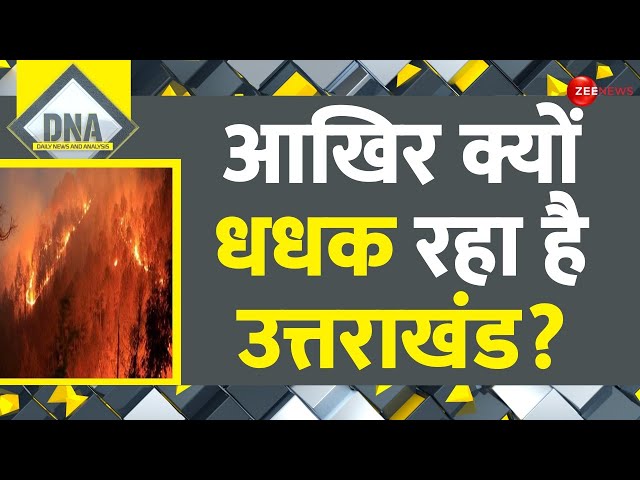 DNA: उत्तराखंड के जंगलों में आग ही आग? |Nainital Forest Fire Update| Uttarkakhand News | CM Dhami