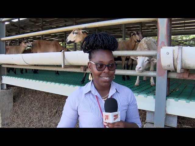 Generation Next - YAHP Students Work Towards Sustainable Agriculture