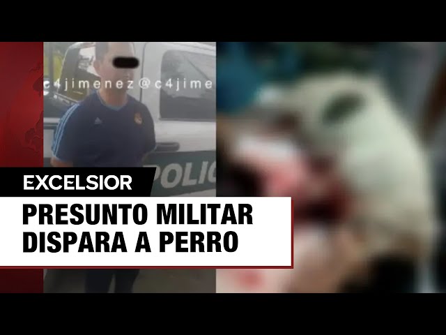 ⁣Militar dispara a perro en calles de la Venustiano Carranza