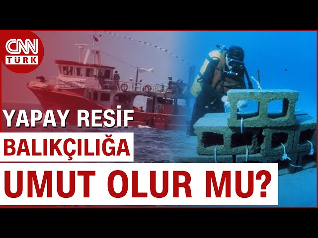 ⁣Antalya'da Balık Popülasyonu Azalmaya Başladı! Yapay Resif Balıkçılığa Umut Olur Mu? #Haber