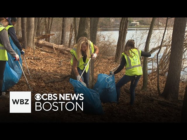 ⁣Massachusetts non-profit keeping state beaches clean through volunteer trash pick-up