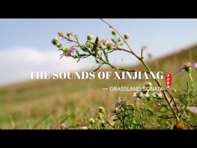 ⁣The sounds of Xinjiang -- Grassland sonata
