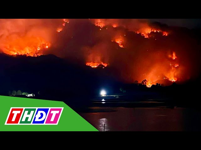 Cháy rừng ở An Giang, có cả tiếng nổ lớn | THDT