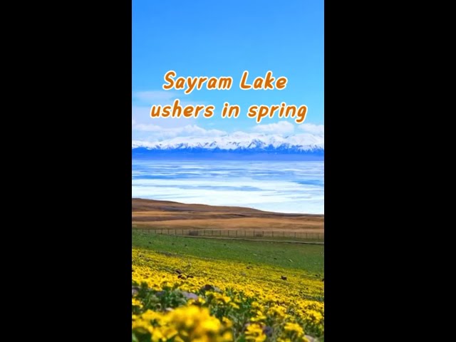 Spring scenery of Sayram Lake in China's Xinjiang