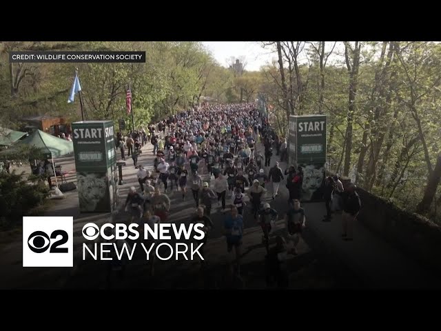 ⁣Bronx Zoo hosts 16th Annual WCS Run for the Wild race