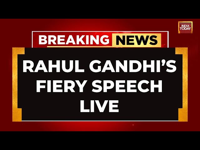 ⁣Rahul Gandhi LIVE: Rahul Gandhi's Mega Address In Odisha | Rahul Gandhi Speech LIVE | India Tod