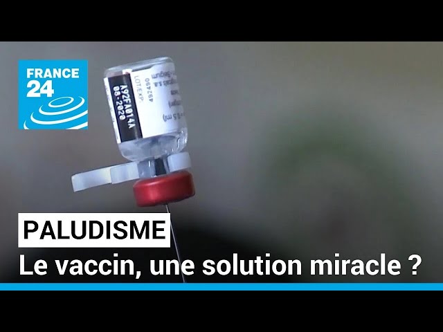 Paludisme : le vaccin, une solution miracle ? • FRANCE 24