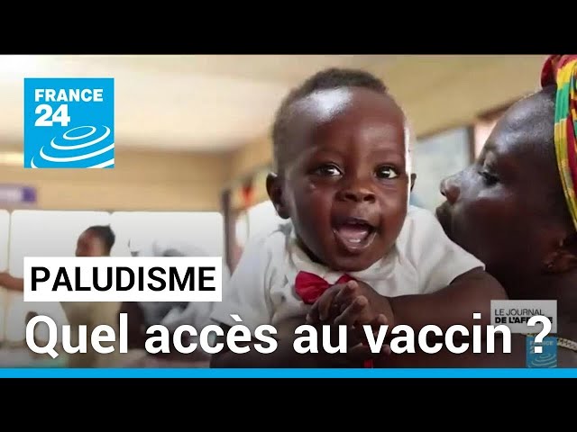 Mettre fin au paludisme en Afrique : l'urgence d'agir • FRANCE 24
