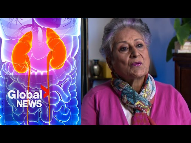 ⁣Muslim human rights activist in need of kidney finds help from Jewish community