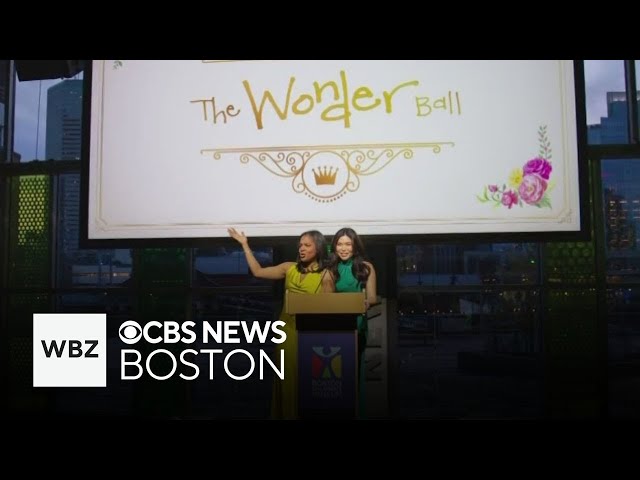 ⁣Boston Children's Museum raises $625,000 at Wonder Ball