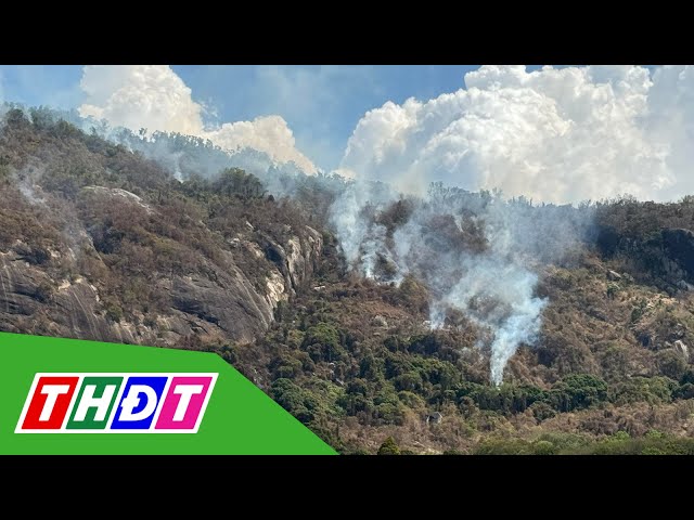 ⁣An Giang: Thêm nhiều điểm cháy trên núi Cô Tô | THDT