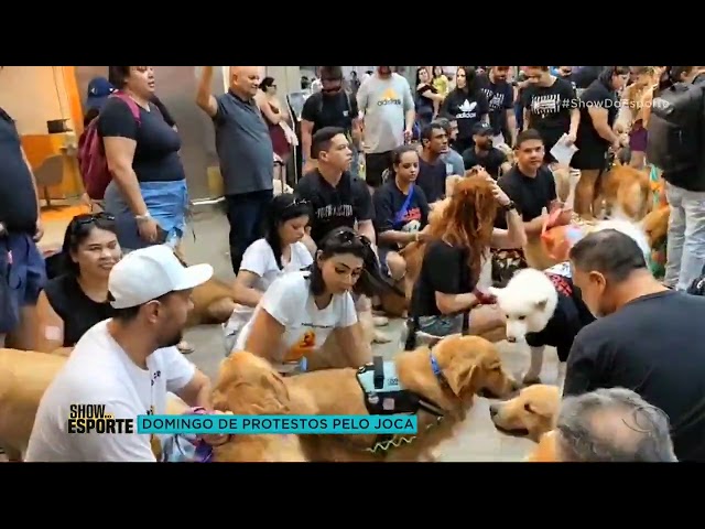 ⁣Donos de pets e ONGs fazem ato em aeroportos por justiça a cão Joca