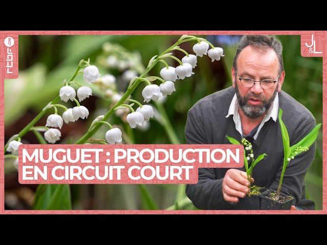 ⁣Muguet et 1er mai : une production en circuit court à Ohey en province de Namur | Jardins et Loisirs