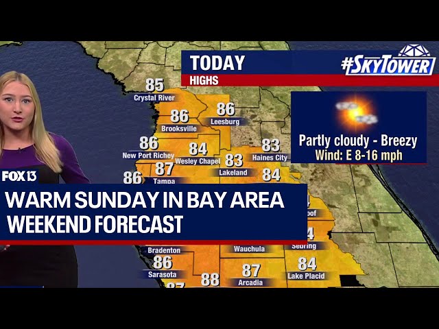 ⁣Tampa weather: Comfortable highs on Sunday