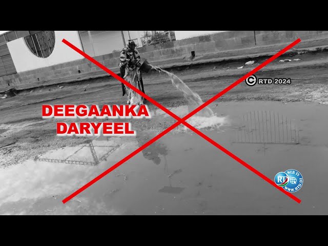 ⁣Hees Degaanka Daryel | Groupe RTD