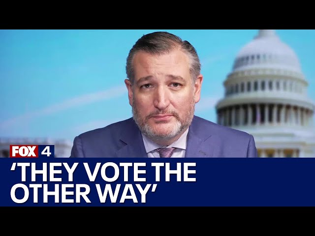 ⁣Texas Sen. Ted Cruz on Democrats raising concerns about border: 'Talk is cheap'
