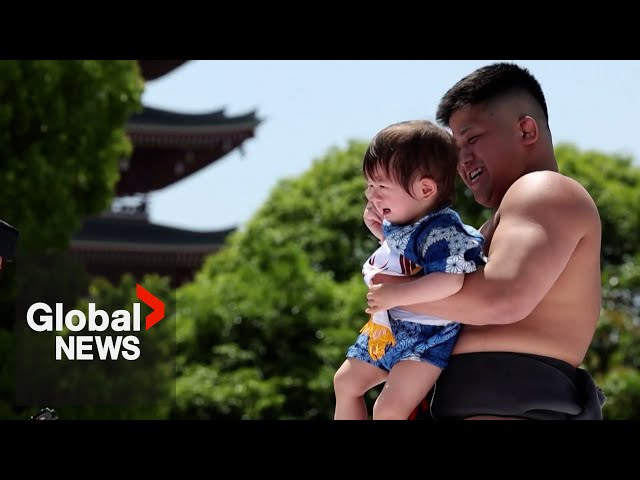 Cry babies: Sumo wrestlers compete to make infants bawl in annual Japanese festival