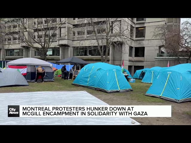 ⁣Montreal protesters hunker down at McGill encampment supporting Gaza