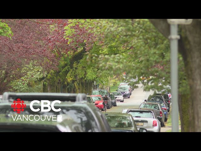 ⁣Metro Vancouver tree canopy in decline: report