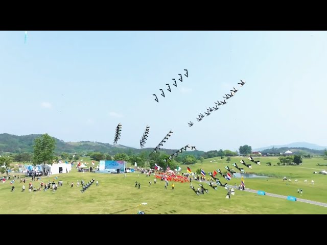 Professional kite pilots compete in central China grasslands